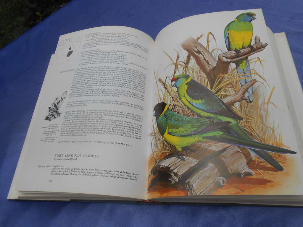 `Parrots of the World`  Second Edition.  Hard cover.  J.M. Forshaw.  A heavy book.