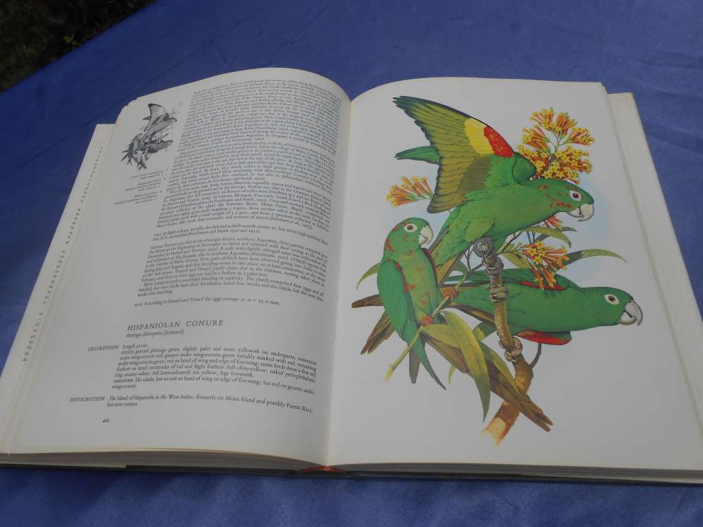 `Parrots of the World`  Second Edition.  Hard cover.  J.M. Forshaw.  A heavy book.