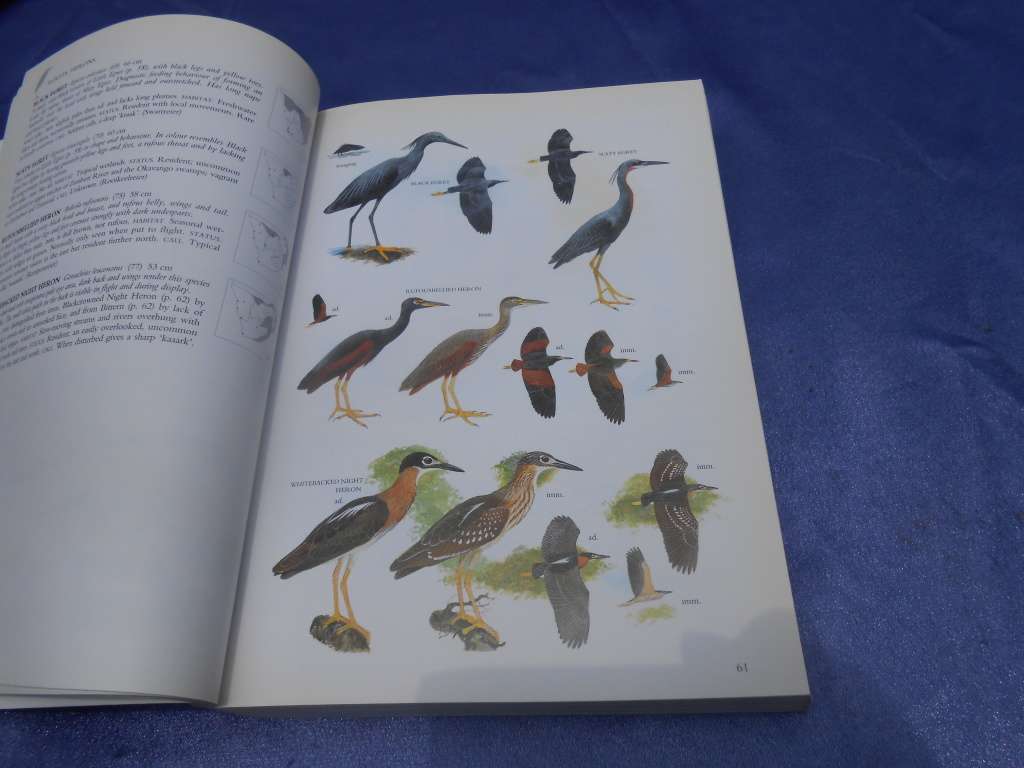 `Sasol Birds of Southern Africa`  Soft cover.