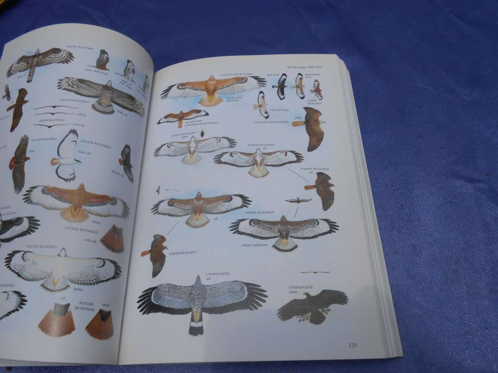 `Sasol Birds of Southern Africa`  Soft cover.