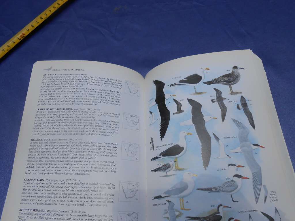 `Sasol Birds of Southern Africa`  Soft cover.