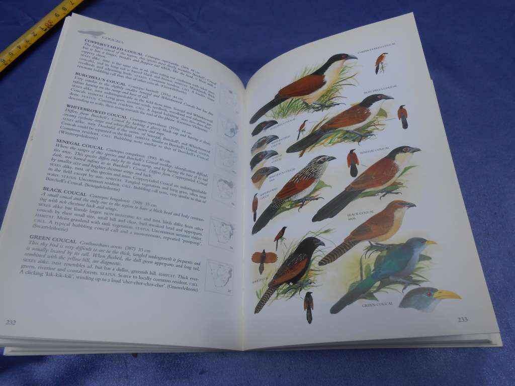 `Sasol Birds of Southern Africa`  Soft cover.