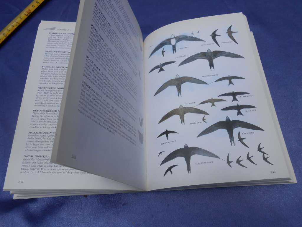 `Sasol Birds of Southern Africa`  Soft cover.