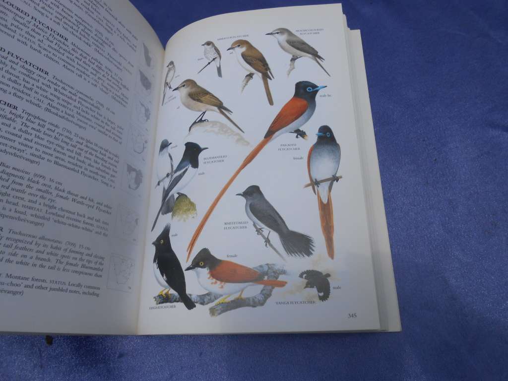 `Sasol Birds of Southern Africa`  Soft cover.