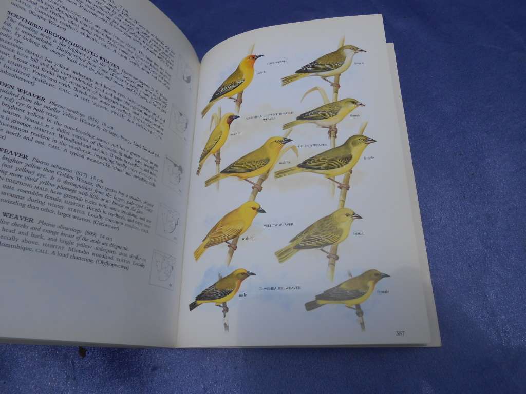 `Sasol Birds of Southern Africa`  Soft cover.