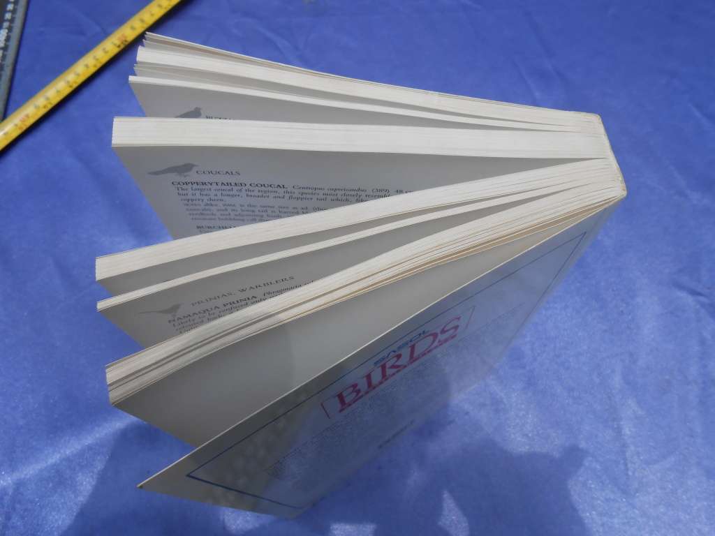 `Sasol Birds of Southern Africa`  Soft cover.