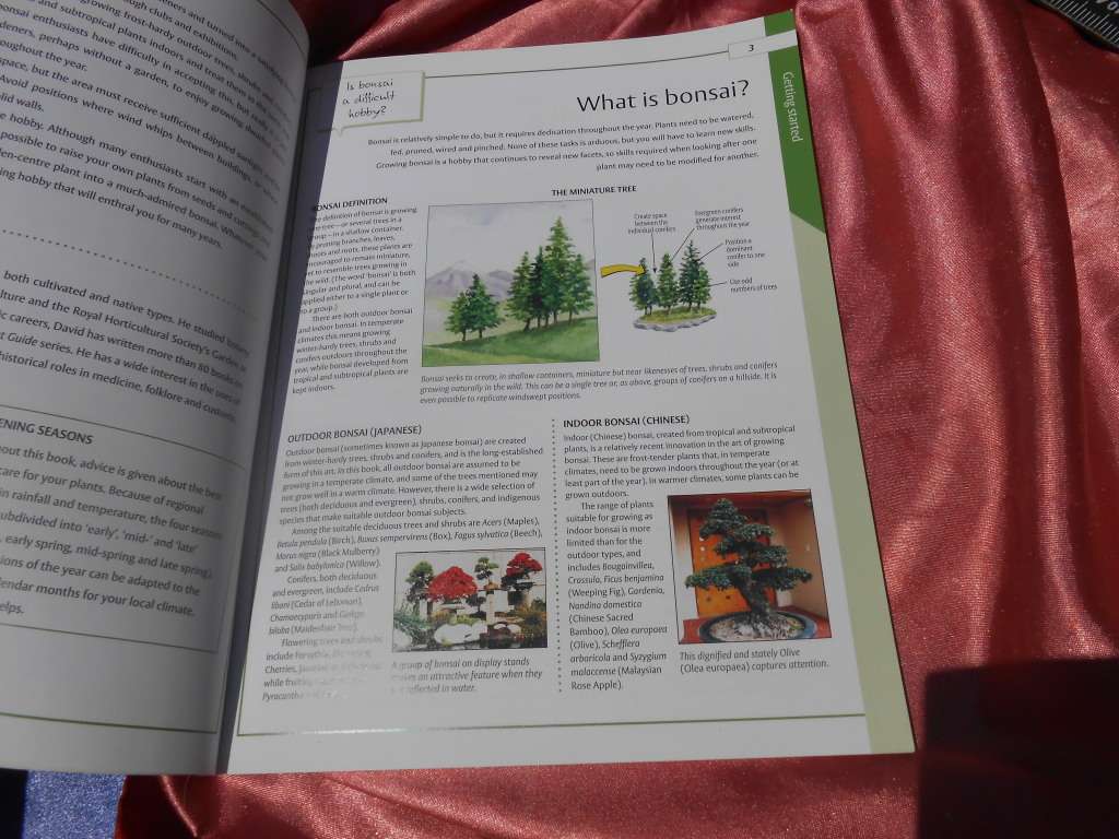 `Bonsai`  The Home Gardener.  Soft cover.