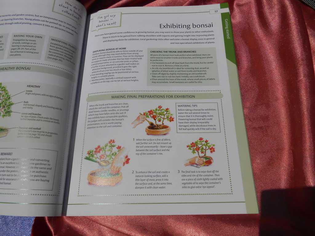 `Bonsai`  The Home Gardener.  Soft cover.