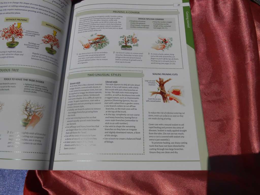 `Bonsai`  The Home Gardener.  Soft cover.