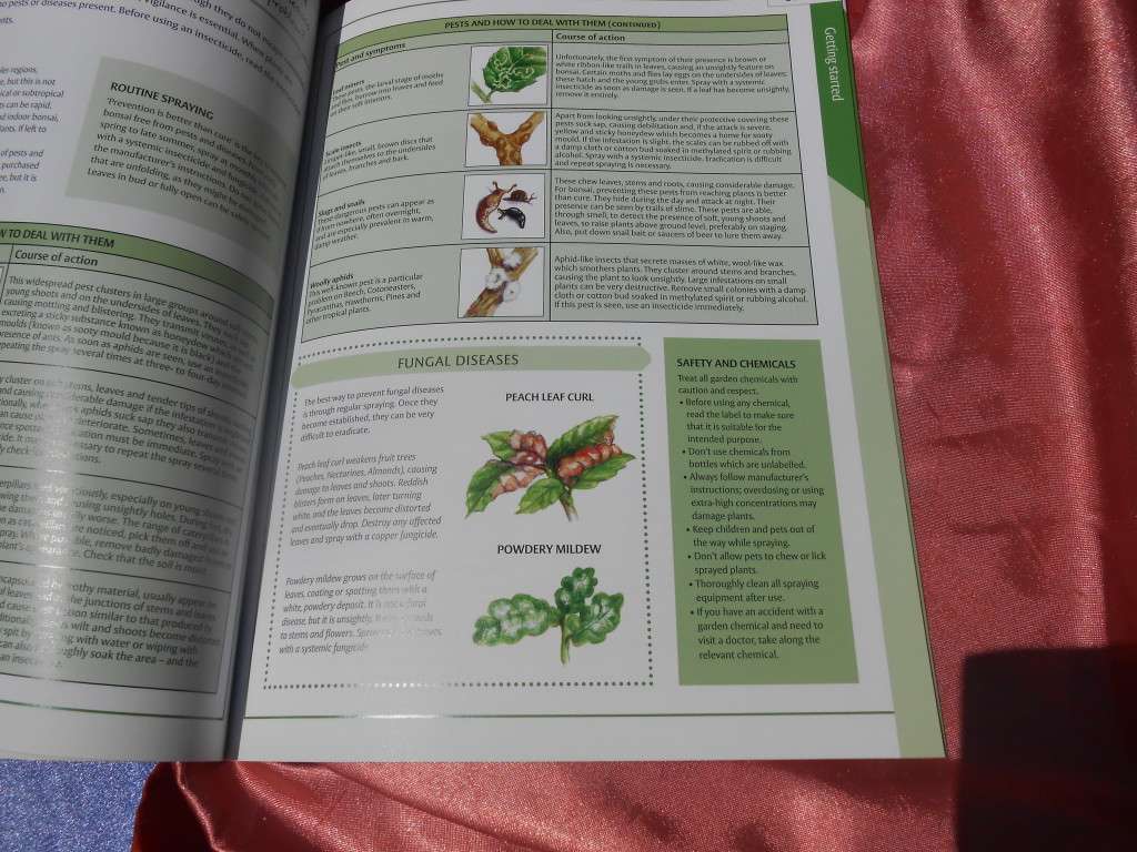 `Bonsai`  The Home Gardener.  Soft cover.