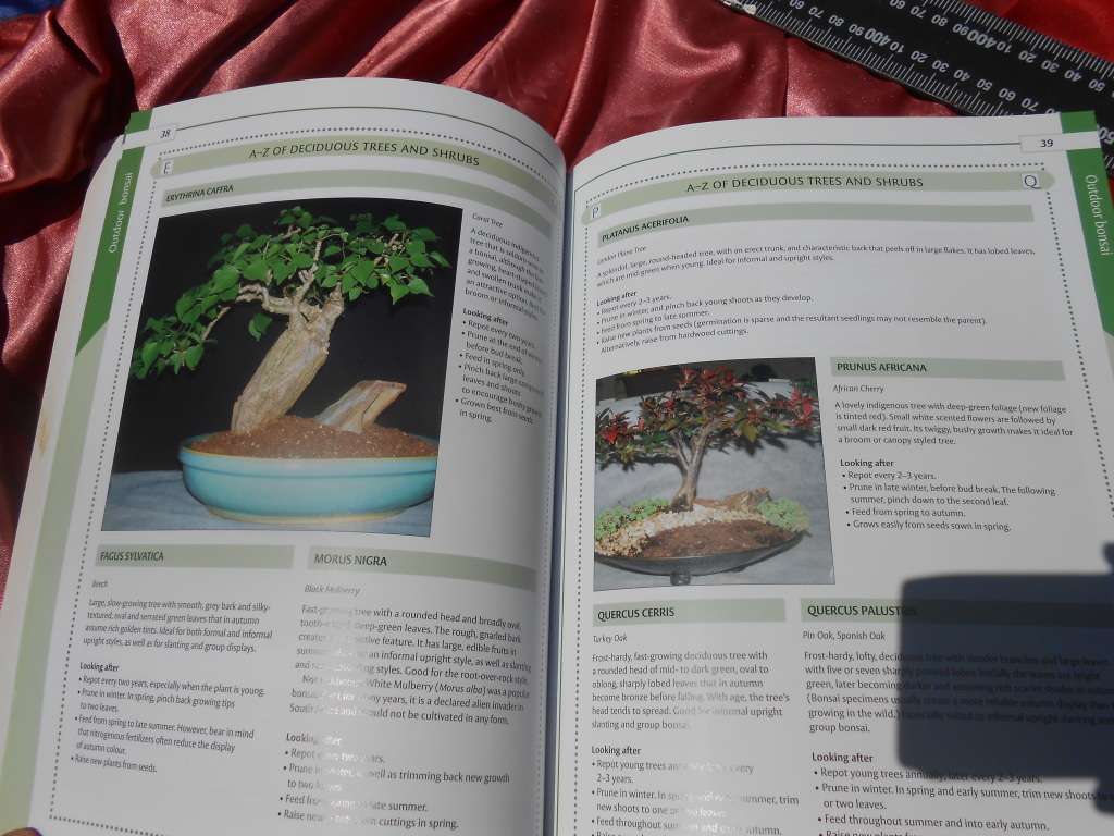 `Bonsai`  The Home Gardener.  Soft cover.