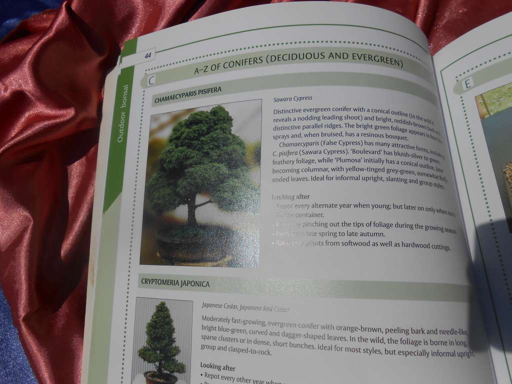 `Bonsai`  The Home Gardener.  Soft cover.