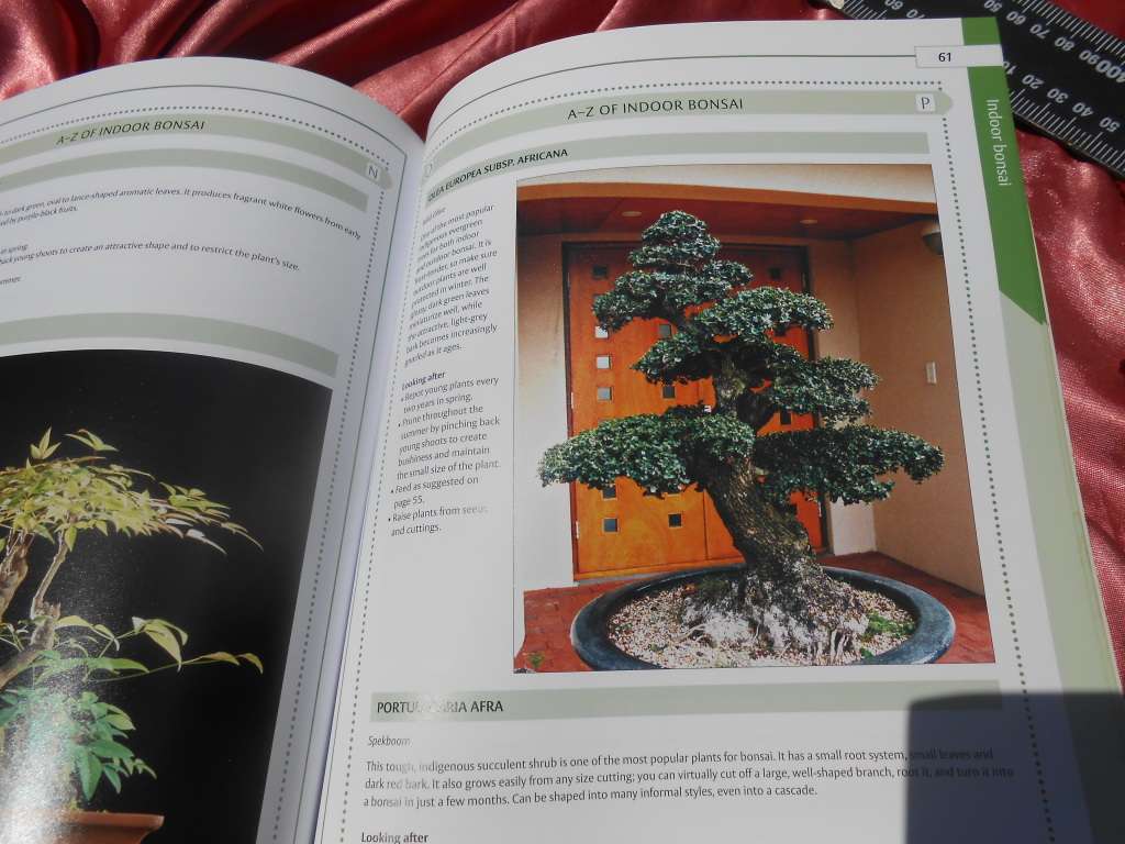 `Bonsai`  The Home Gardener.  Soft cover.