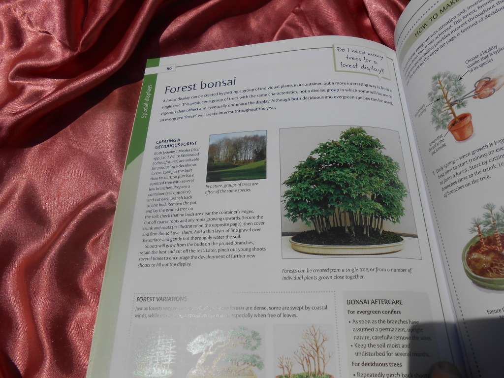 `Bonsai`  The Home Gardener.  Soft cover.
