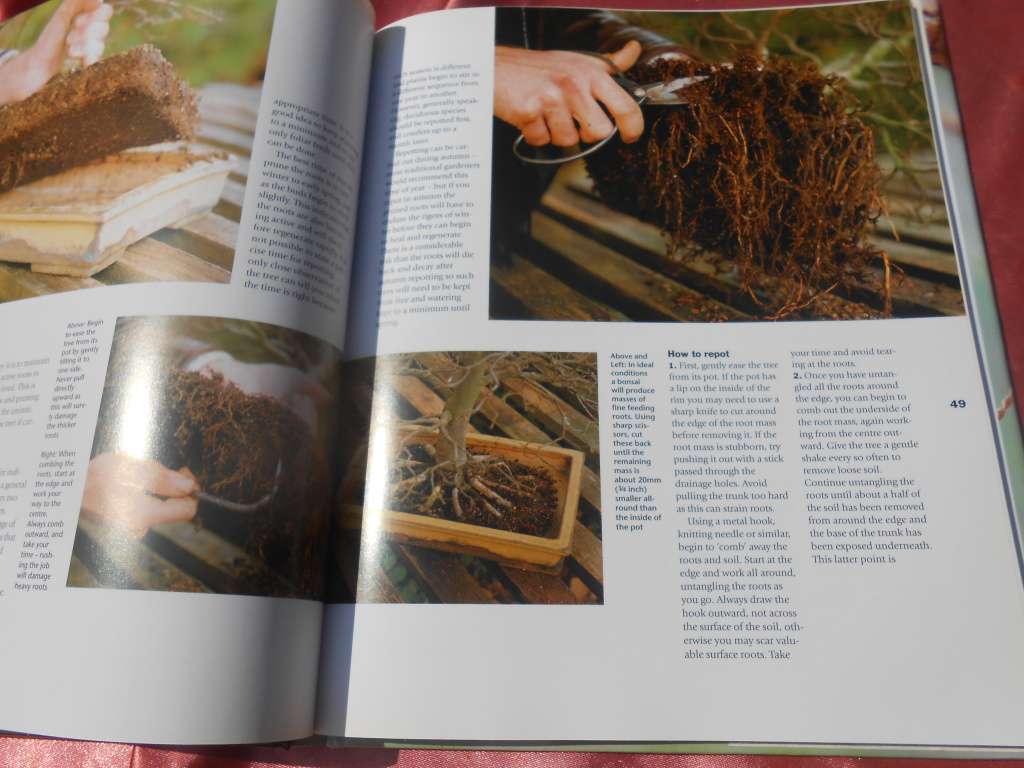 `Bonsai. A care Manual`  Hard cover.