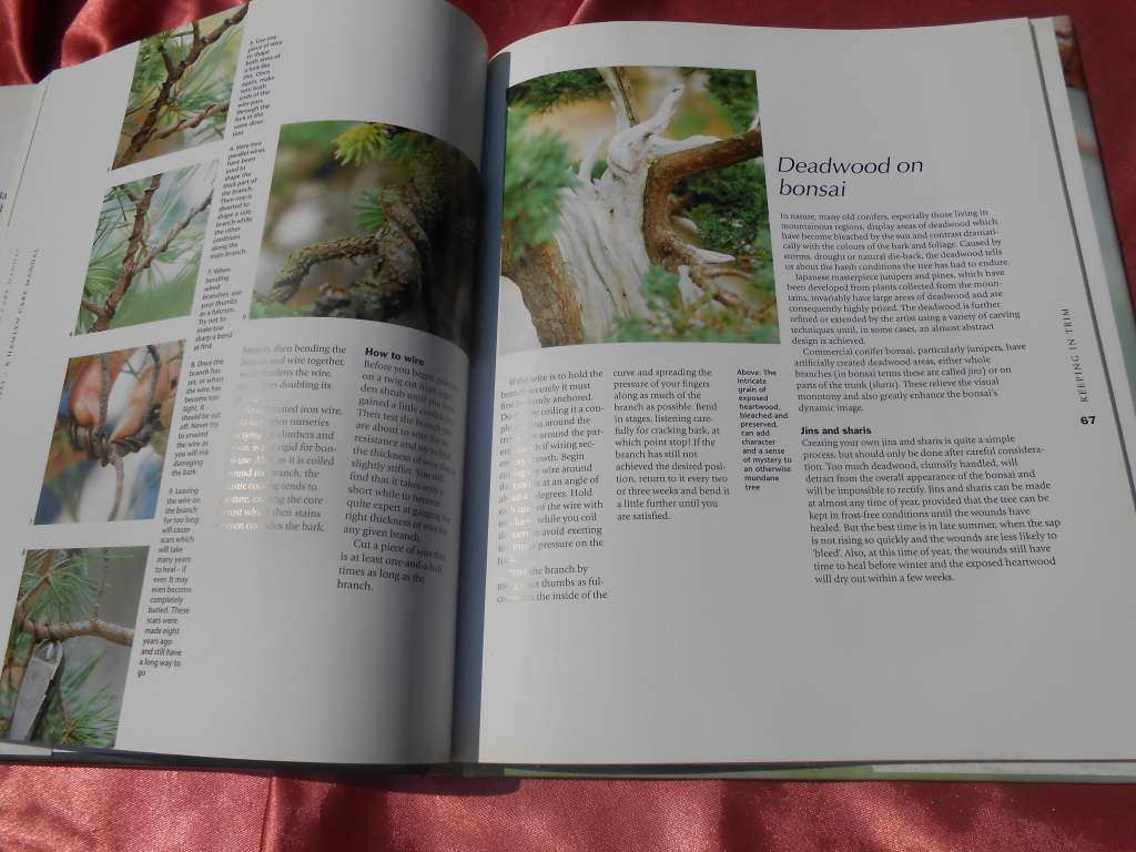 `Bonsai. A care Manual`  Hard cover.