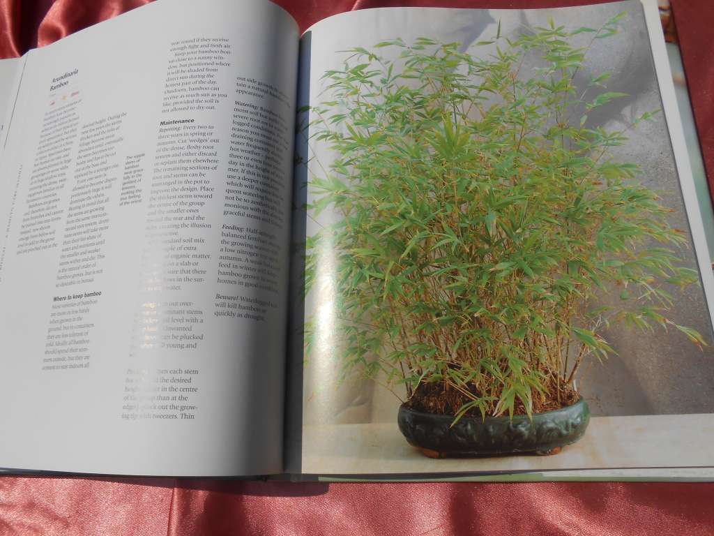 `Bonsai. A care Manual`  Hard cover.