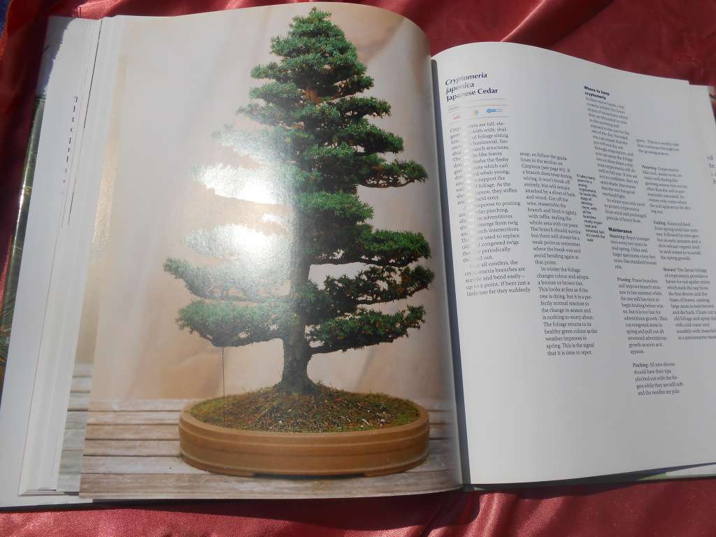 `Bonsai. A care Manual`  Hard cover.