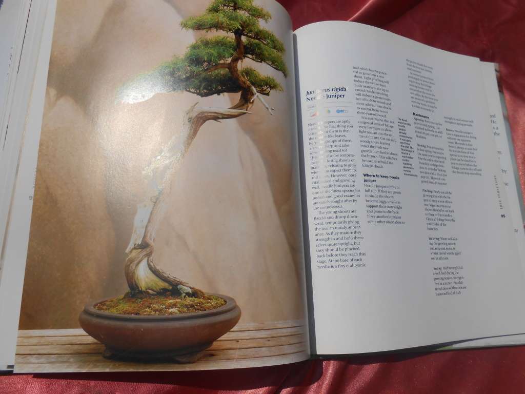 `Bonsai. A care Manual`  Hard cover.