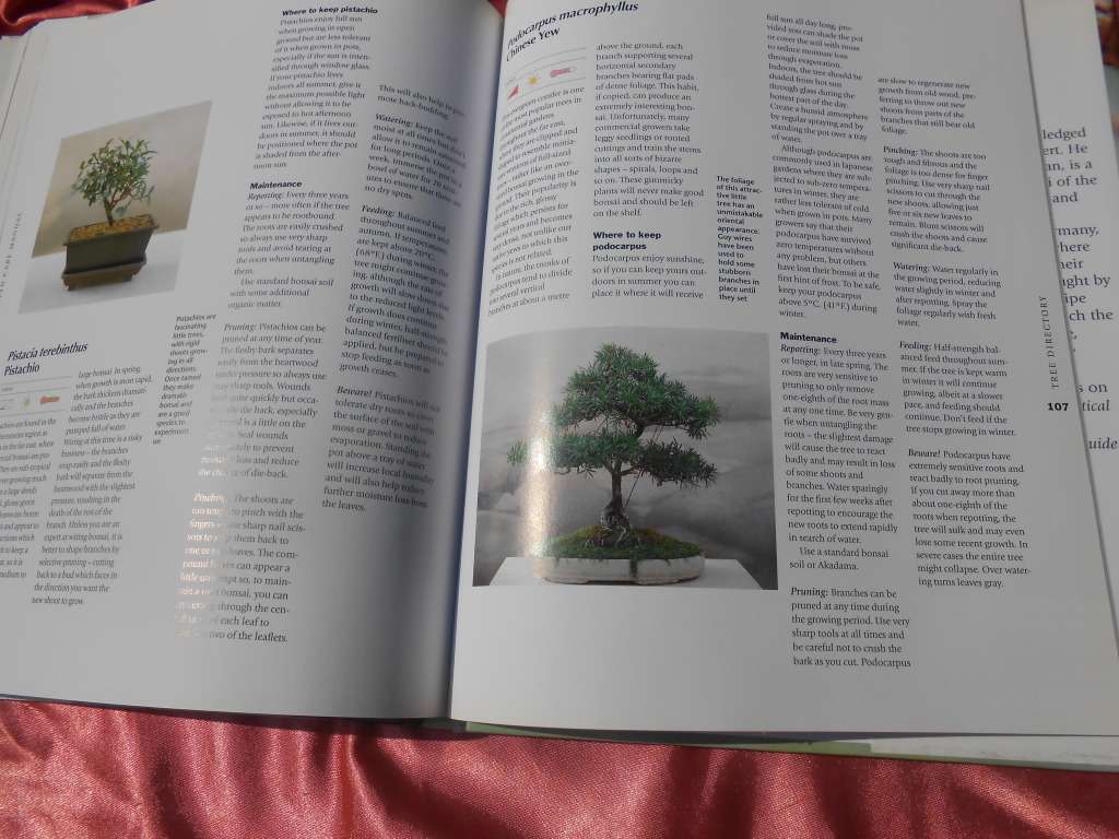 `Bonsai. A care Manual`  Hard cover.