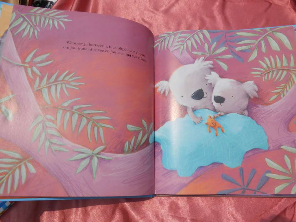 `Ek sal jou styf vashou`  Smriti Prasadam-Halls & Alison Brown.  Hardcover.