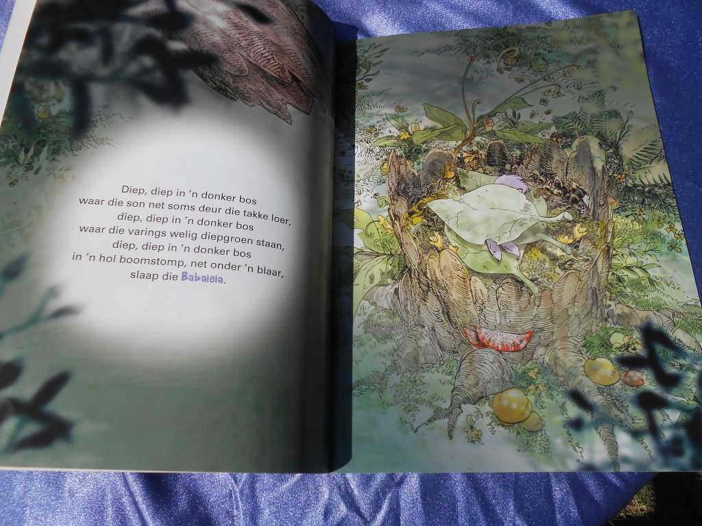 `Ons Kan!`  Partjie Preller.  Hard cover.