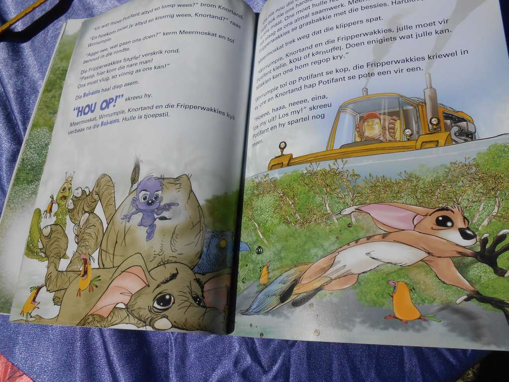 `Ons Kan!`  Partjie Preller.  Hard cover.