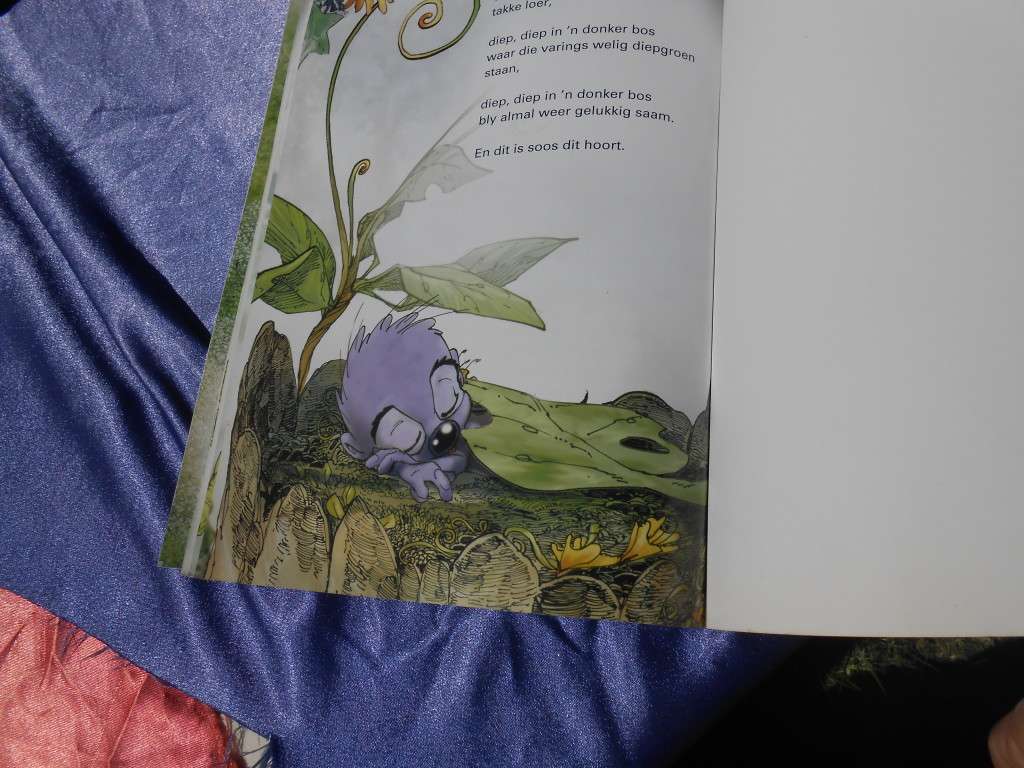 `Ons Kan!`  Partjie Preller.  Hard cover.