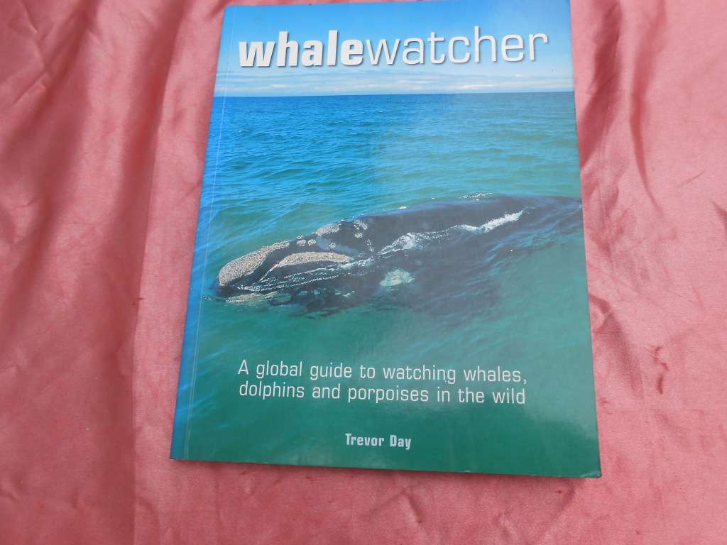 `Whalewatcher`  Soft cover.