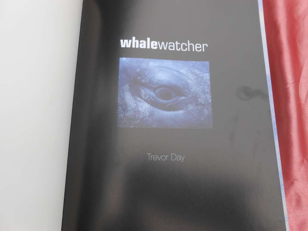 `Whalewatcher`  Soft cover.