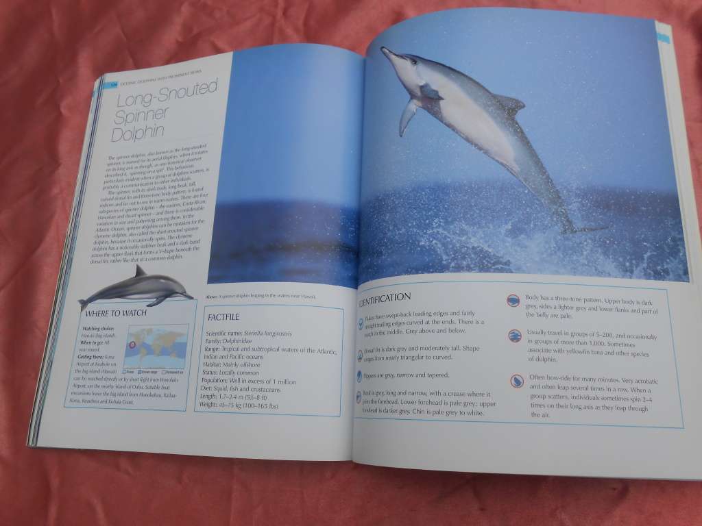 `Whalewatcher`  Soft cover.