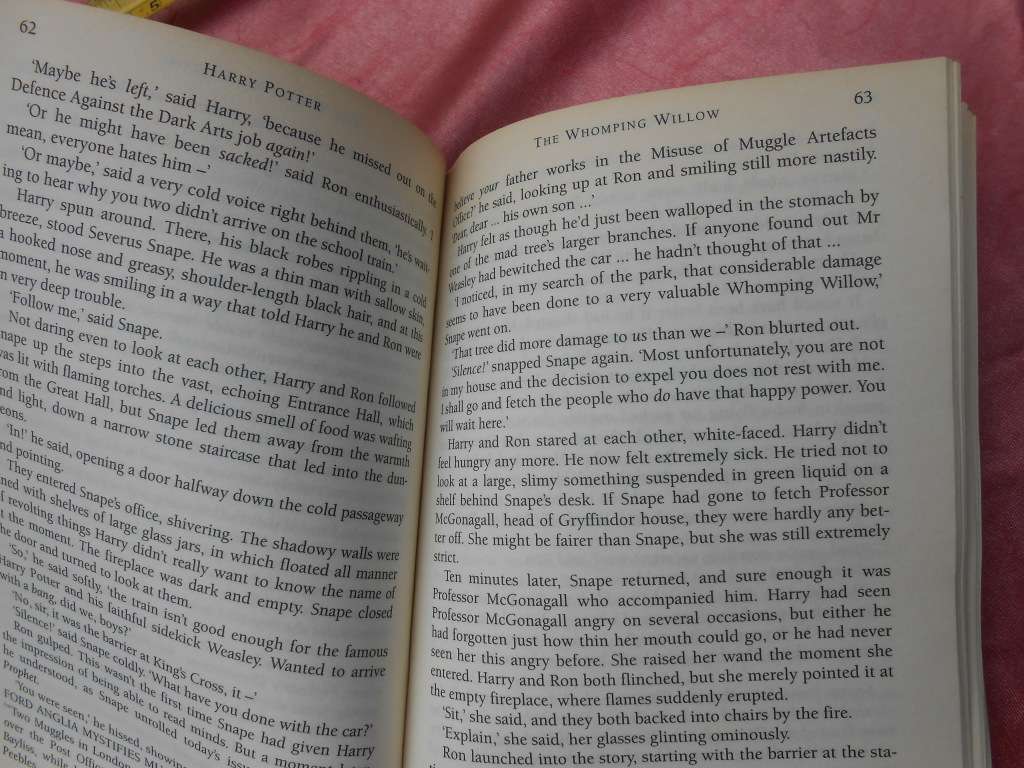 `Harry Potter and the Chamber of Secrets`  J.K. Rowling.  Soft cover.