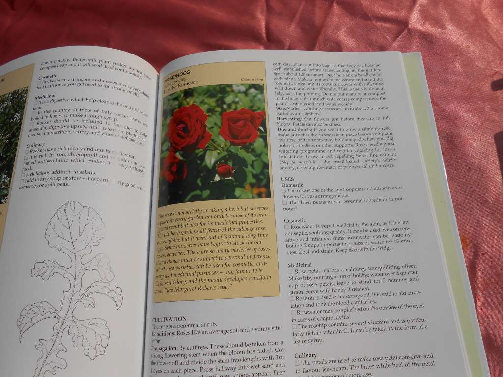 `The A-Z of Herbs`  Margaret Roberts.   Hard cover