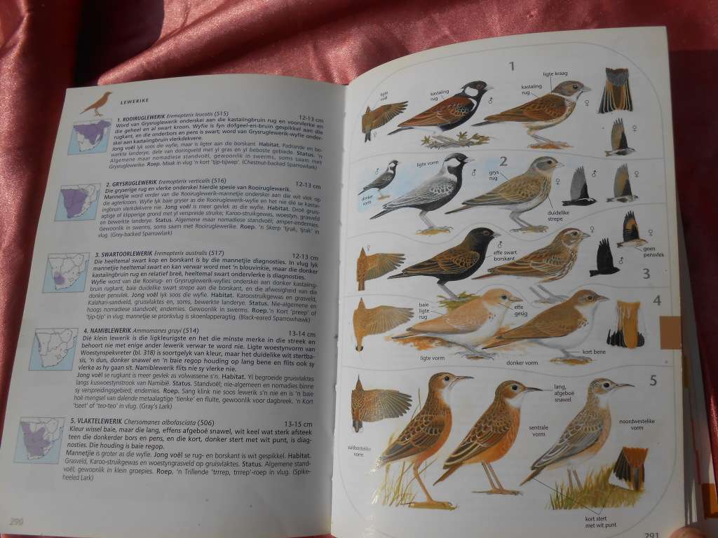 `Sasol Voels van Suider-Afrika` Derde Uitgawe.  Soft cover.