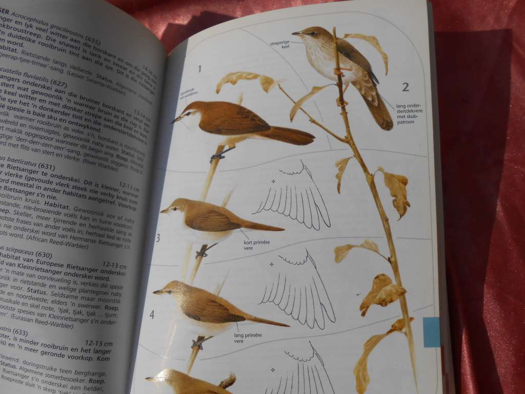 `Sasol Voels van Suider-Afrika` Derde Uitgawe.  Soft cover.