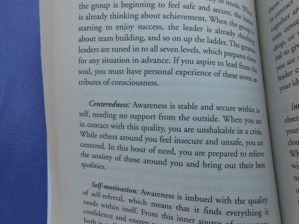 `The Soul of Leadership`  Deepak Chopra.  Soft cover.