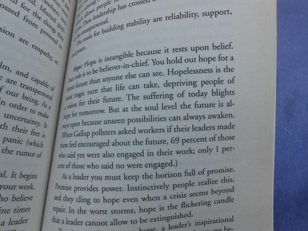 `The Soul of Leadership`  Deepak Chopra.  Soft cover.