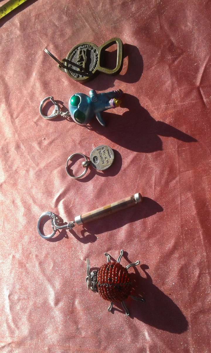 Joblot of keyrings.