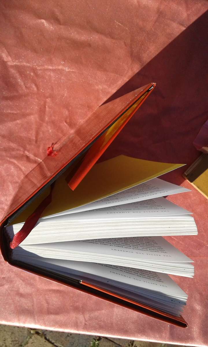 2003.  `The Battle for Zimbabwe`  The Final Countdown..  Geoff Hill.  Hard cover.