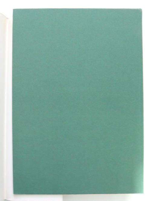 CECIL HIGGS  CLOSE UP by Dieter Bertram