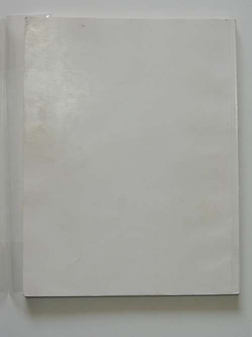 The Neglected tradition: Towards a new history of South African art (1930-1988) - Steven Sack