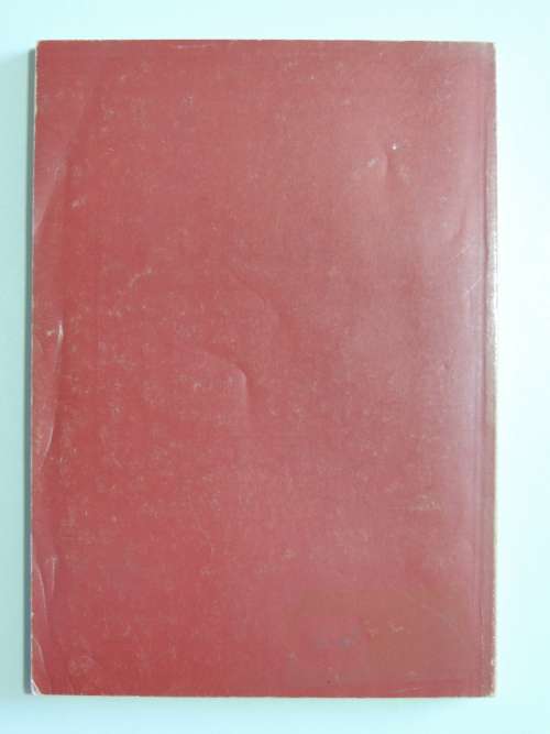 Mabangalala: The Rise of Right Wing Vigilantes in South Africa - Nicholas Haysom