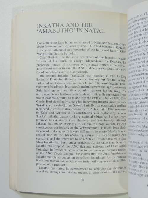 Mabangalala: The Rise of Right Wing Vigilantes in South Africa - Nicholas Haysom