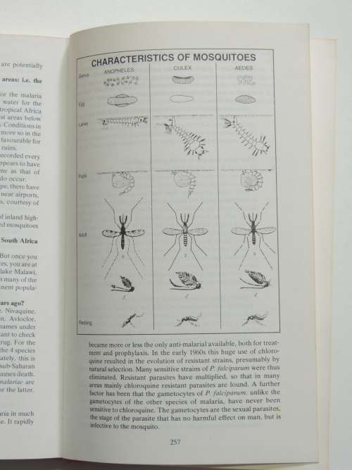 Staying Alive - A Southern African Survival Handbook - Ron Reid-Daly