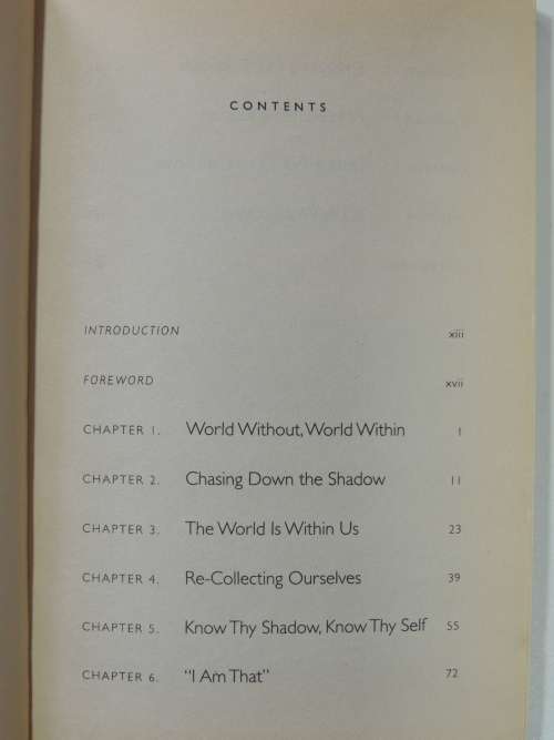 The Dark Side of the Light Chasers, Reclaiming Your Power, Creativity, Brilliance and Dreams -D Ford