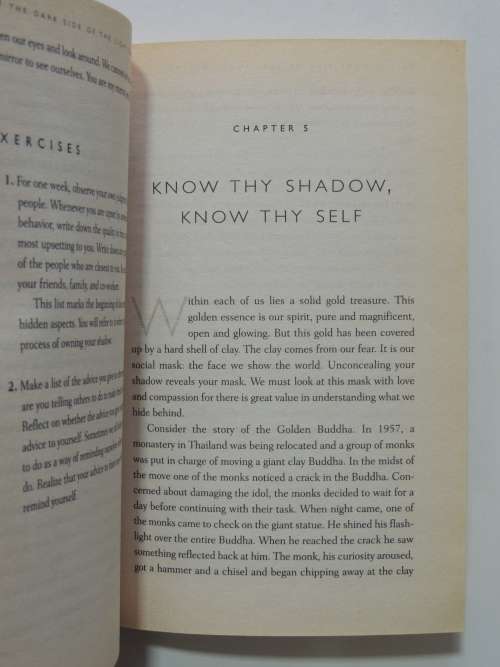 The Dark Side of the Light Chasers, Reclaiming Your Power, Creativity, Brilliance and Dreams -D Ford