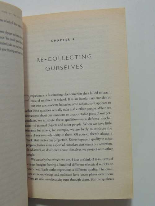 The Dark Side of the Light Chasers, Reclaiming Your Power, Creativity, Brilliance and Dreams -D Ford