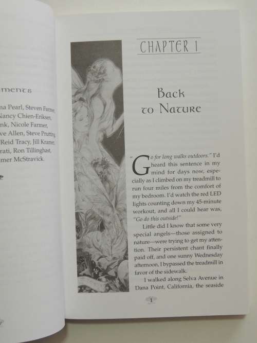 Healing With The Fairies - Messages, Manifestations nd Love from the World of Fairies -Doreen Virtue