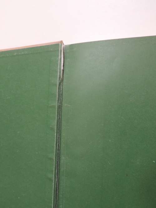 Birds of Town and Village - Paintings by Basil Ede, Text by WD Campbell