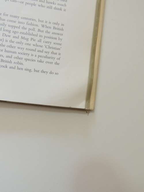 Birds of Town and Village - Paintings by Basil Ede, Text by WD Campbell